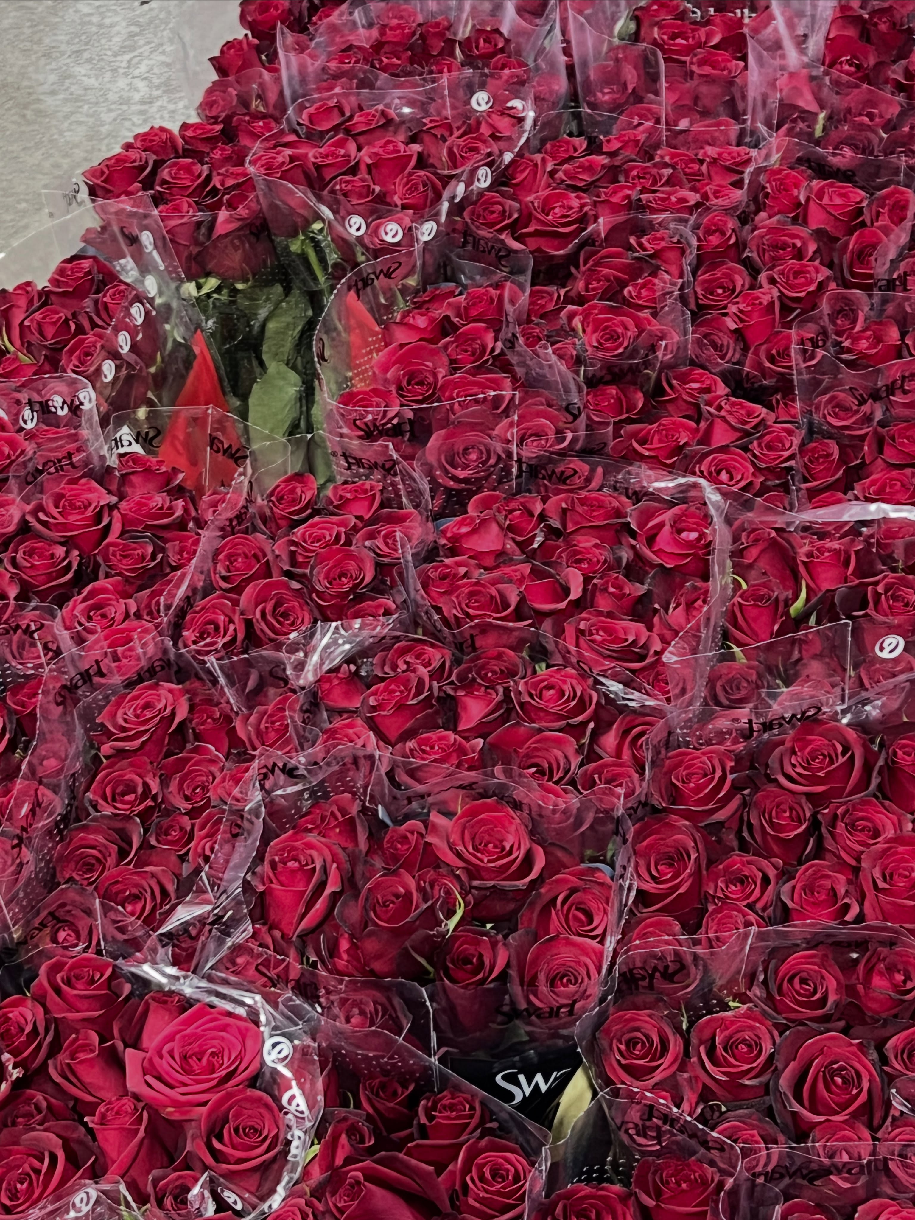 PROMOÇÃO
PROMOÇÃO
PROMOÇÃOBUQUÊ DE ROSAS VERMELHAS 🌹 🌹Entregamos em Campinas e Região#floricultura #buquederosasvermelhas #promocaodebuques #floriculturaemcampinas
#floriculturaemhortolandia
