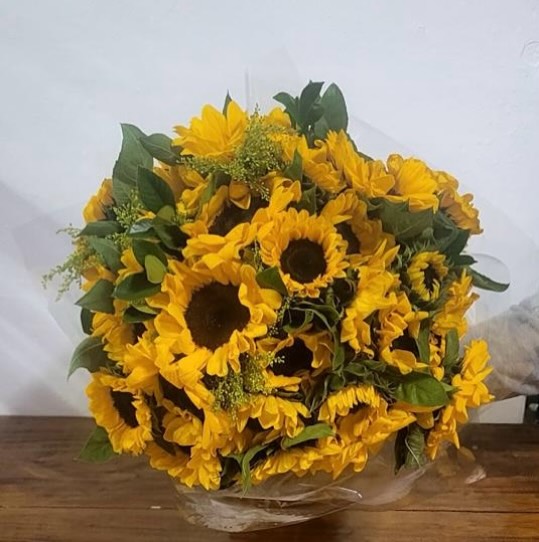 PROMOÇÃOBuquê de Girassol com 28 hastesENORMEEEEEPor Apenas R$ 219,00Entregamos para em:
Campinas, Indaiatuba, Valinhos, Vinhedo,Hortolândia, Sumaré e Paulínia..Promoção limitada ao término do estoque.#buquedegirassol #floriculturaemcampinas #floriculturaemhortolandia #floriculturaemvalinhos #floriculturaemvinhedo #girassol #buquê
#floriculturaempaulinia #rosasvermelhas
#floresecestascampinas #florescolombianas
#floriculturaemsumare #buquedeflores