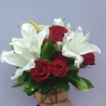 Rosas Harmonia