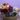 thumbnail_IMG-20210425-WA0010