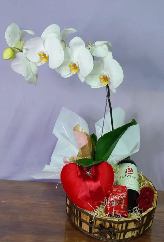 Orquídea Luxe