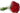Buquê de Rosas vermelhas com 20 Botões 2