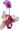 Orquidea Phalaenopsis com Embalagem Tela