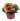 IMG-20240105-WA0002