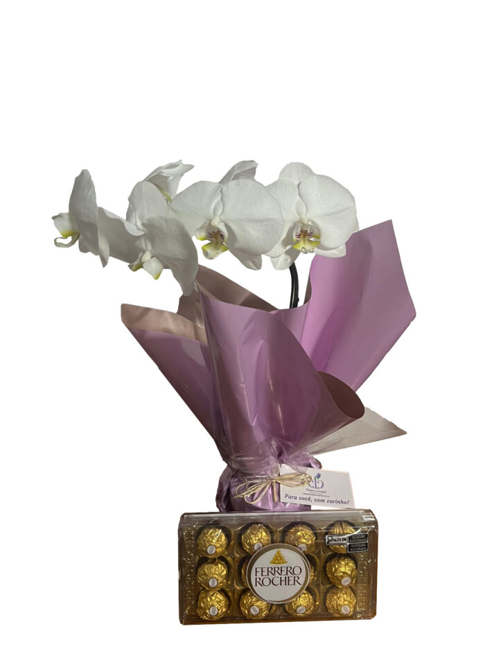 Orquídea Com Ferrero 2