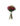 Imagem do WhatsApp de 2025-07-17 à(s) 11.24.15_f3c8ebc2