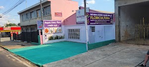 Flores e Cestas Campinas place picture