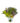 WhatsApp Image 2026-08-13 at 12.35.10 (1)